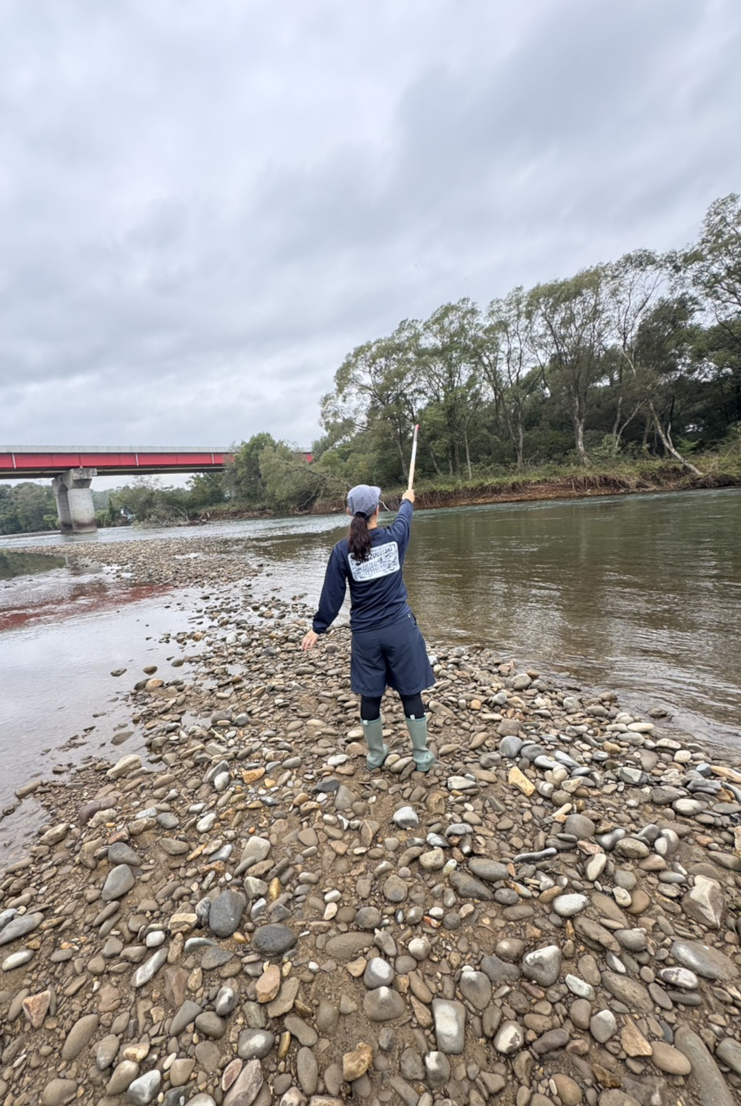 カワウ追い払い