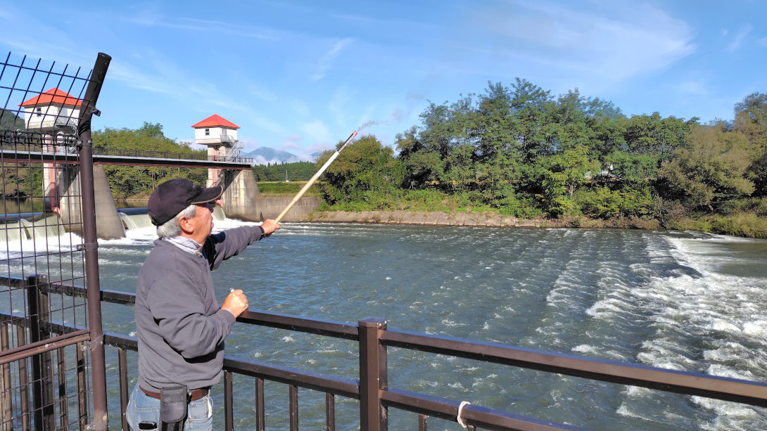 カワウ追い払い