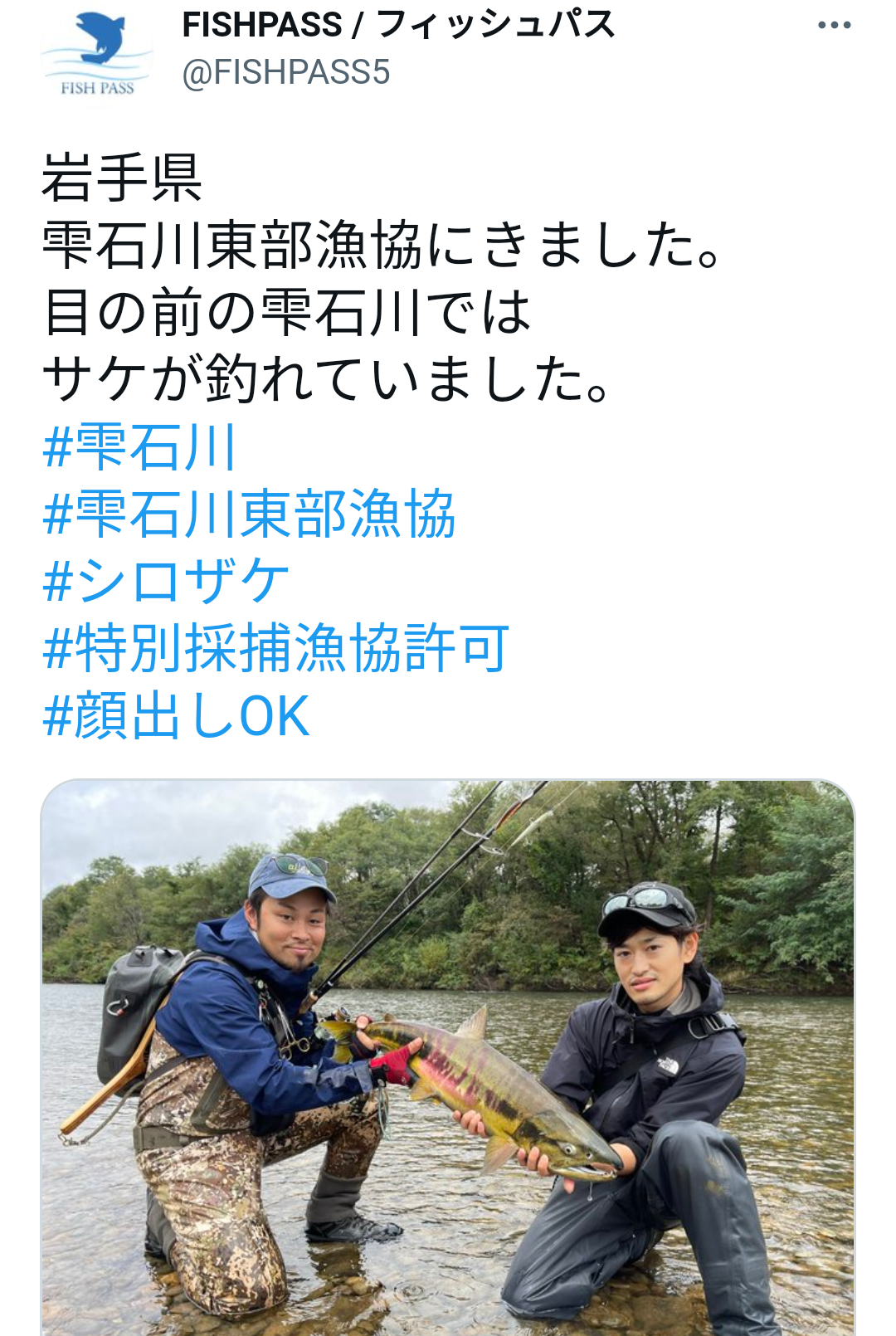 さけ特別採捕中